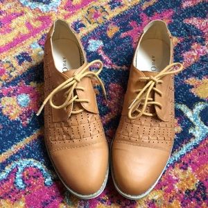 Aphorism Brogue Shoes NWOT